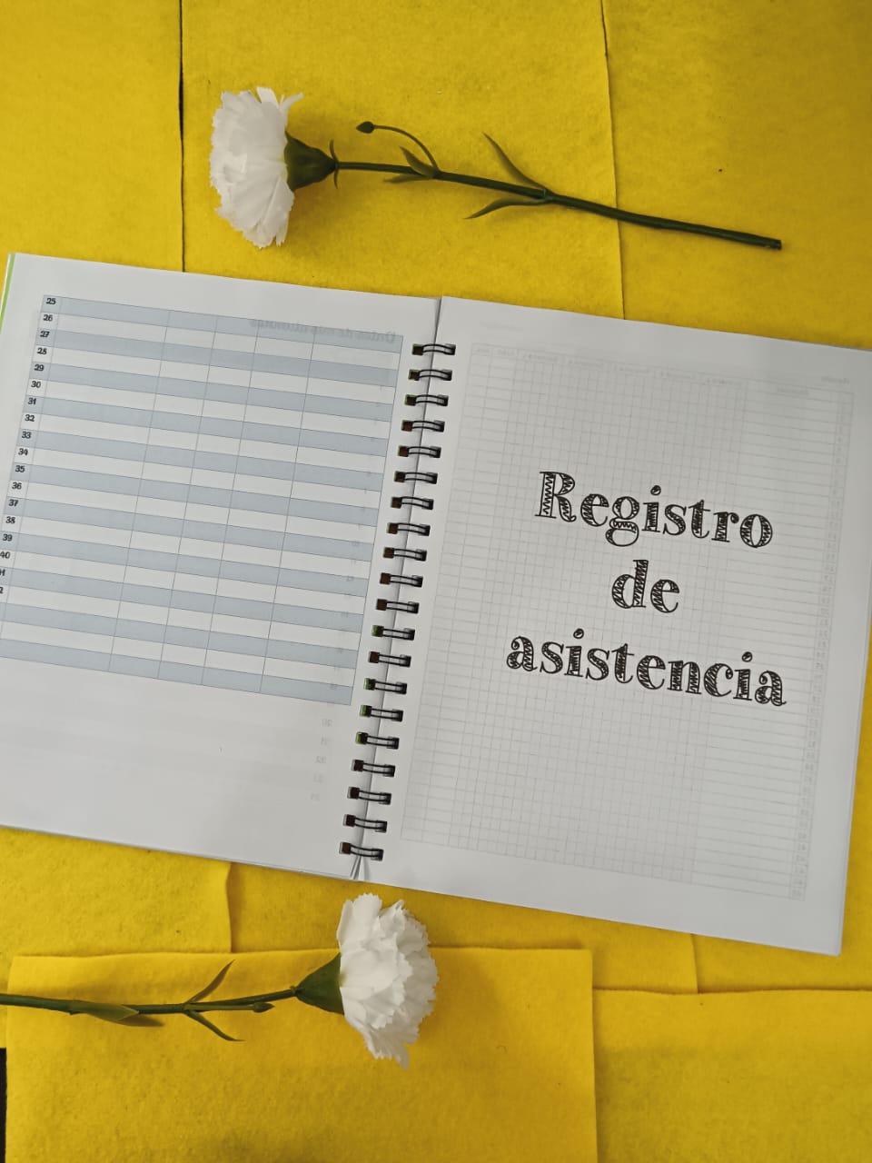 Registro de Evaluación