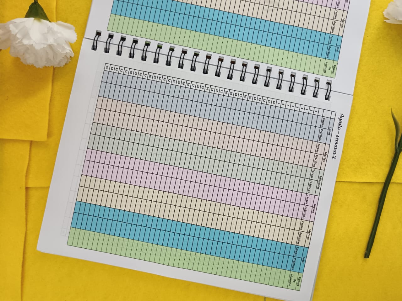 Registro de Evaluación