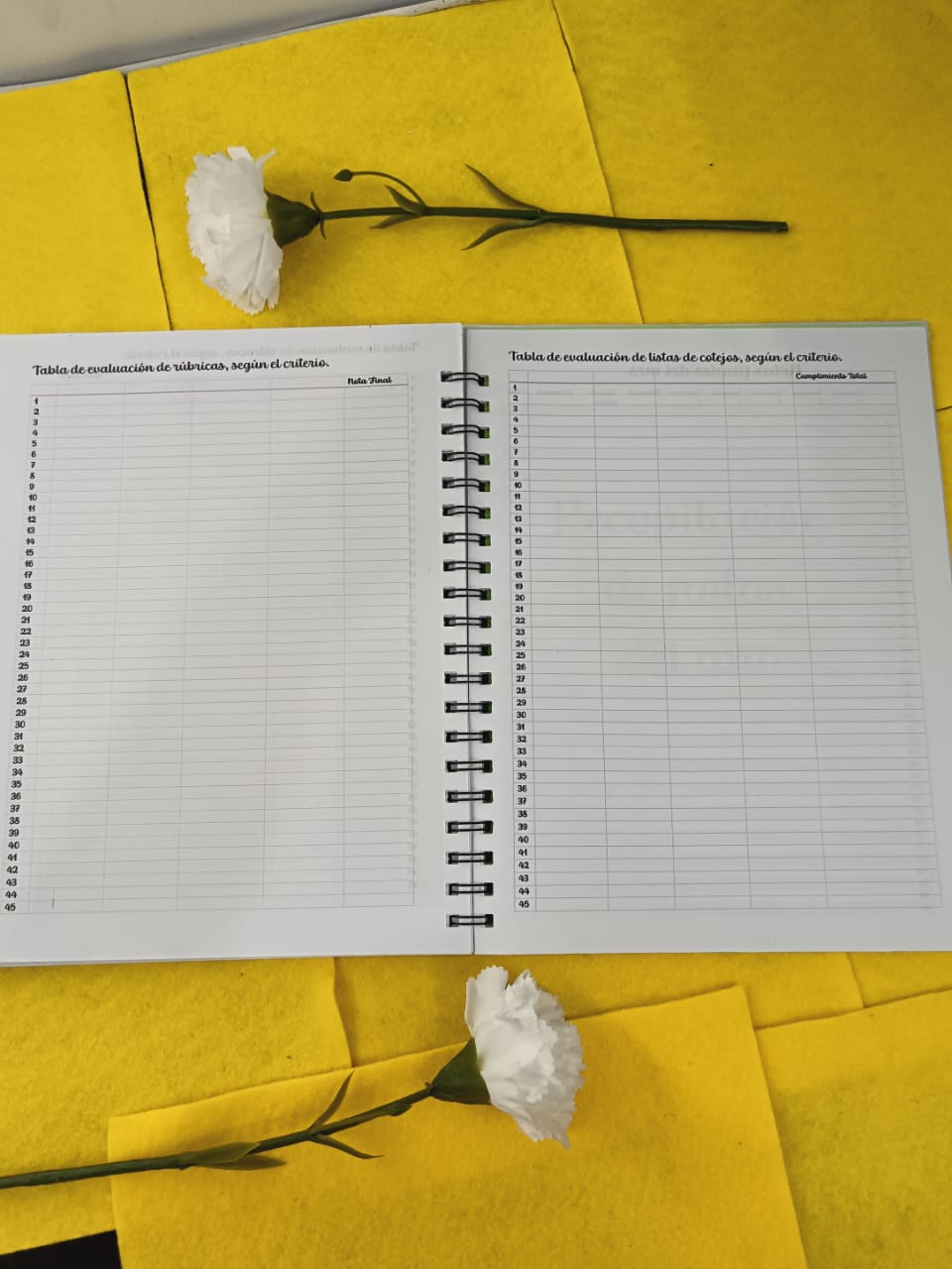 Registro de Evaluación
