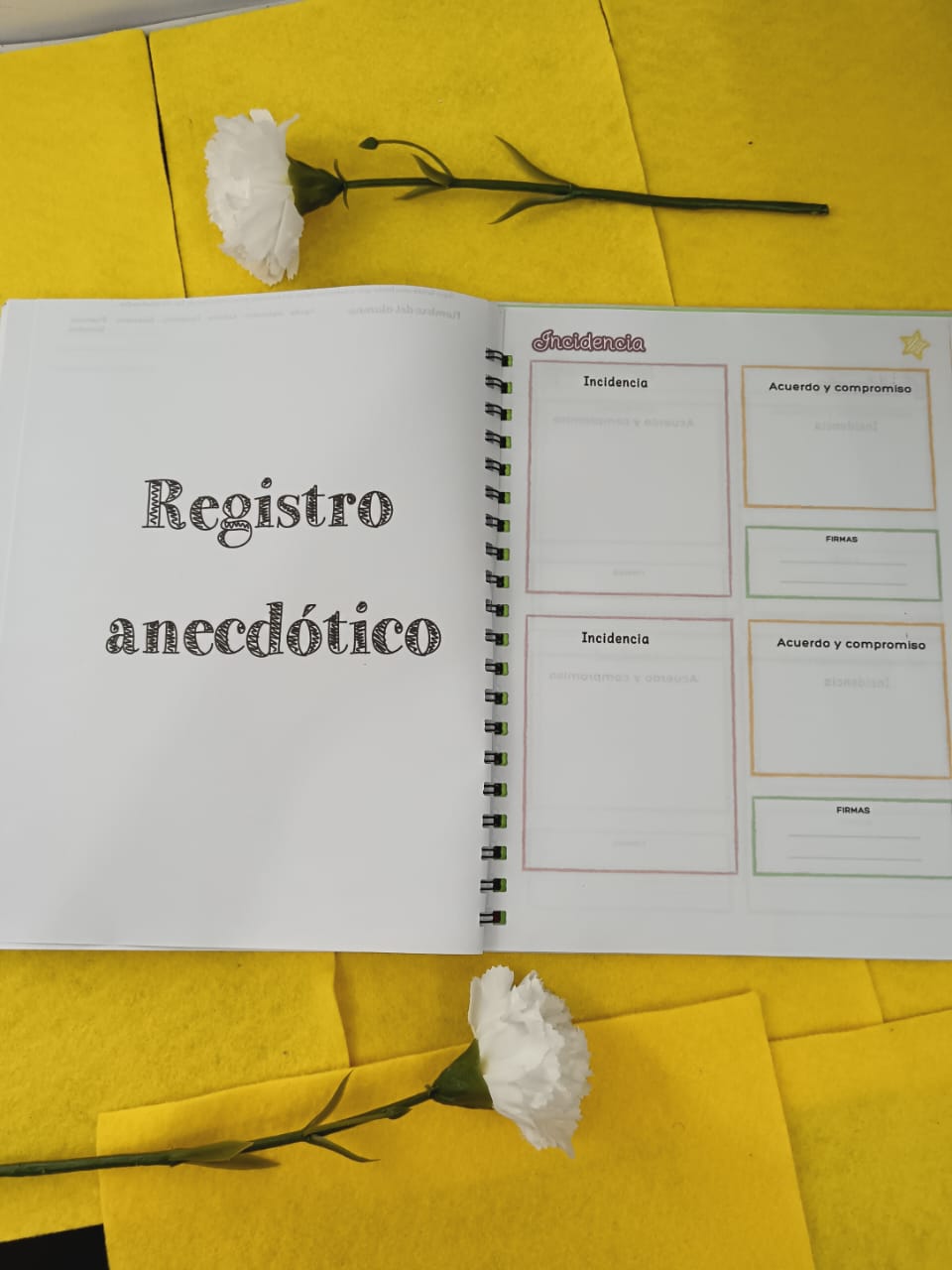 Registro de Evaluación