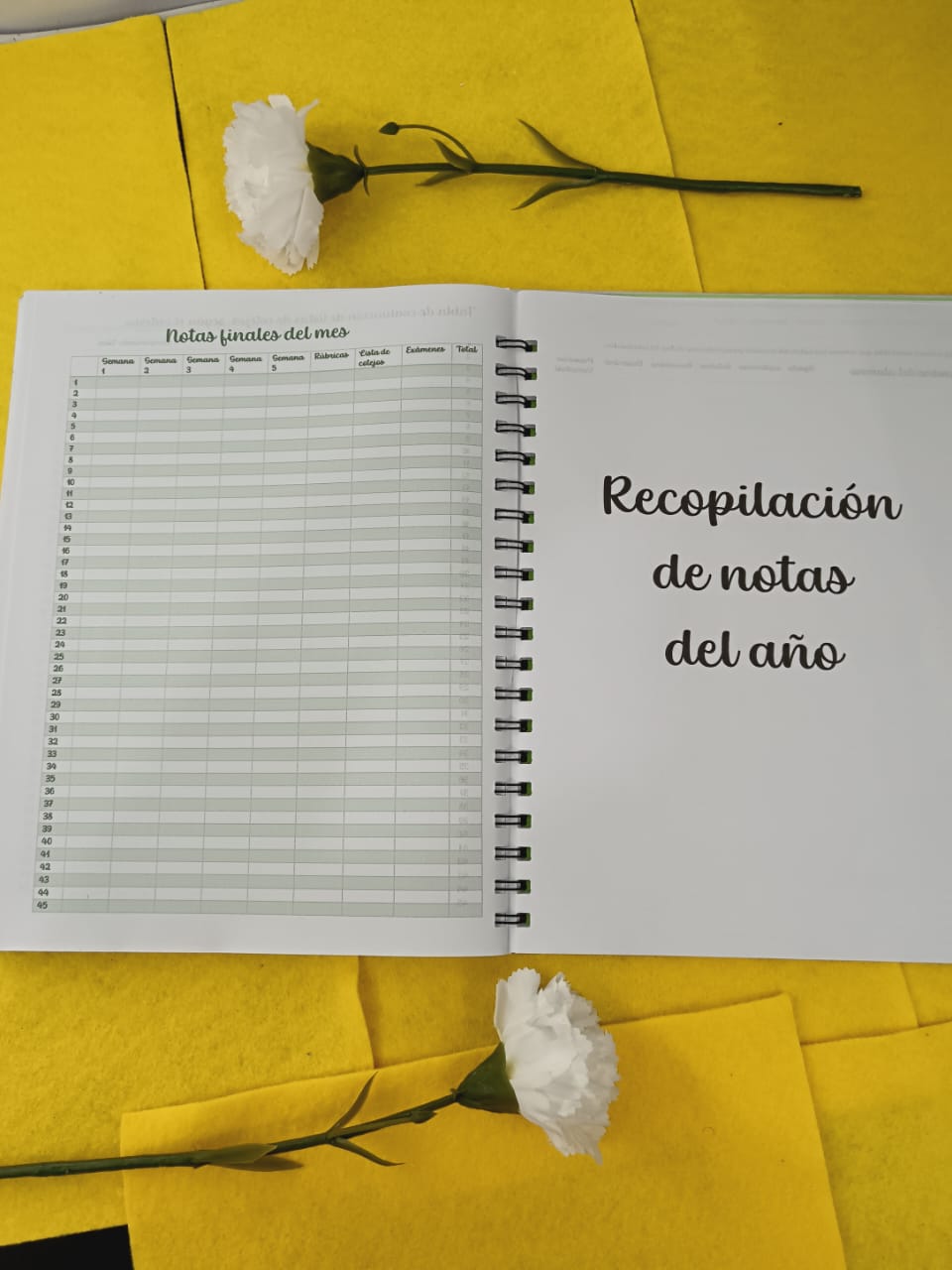 Registro de Evaluación